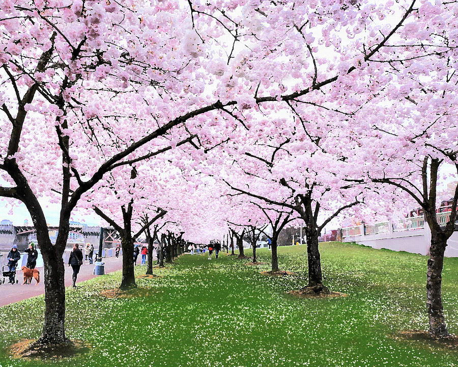 Cherry Blossoms Pink And Green Meditative Relaxing Alley Digital Art by Irina Sztukowski