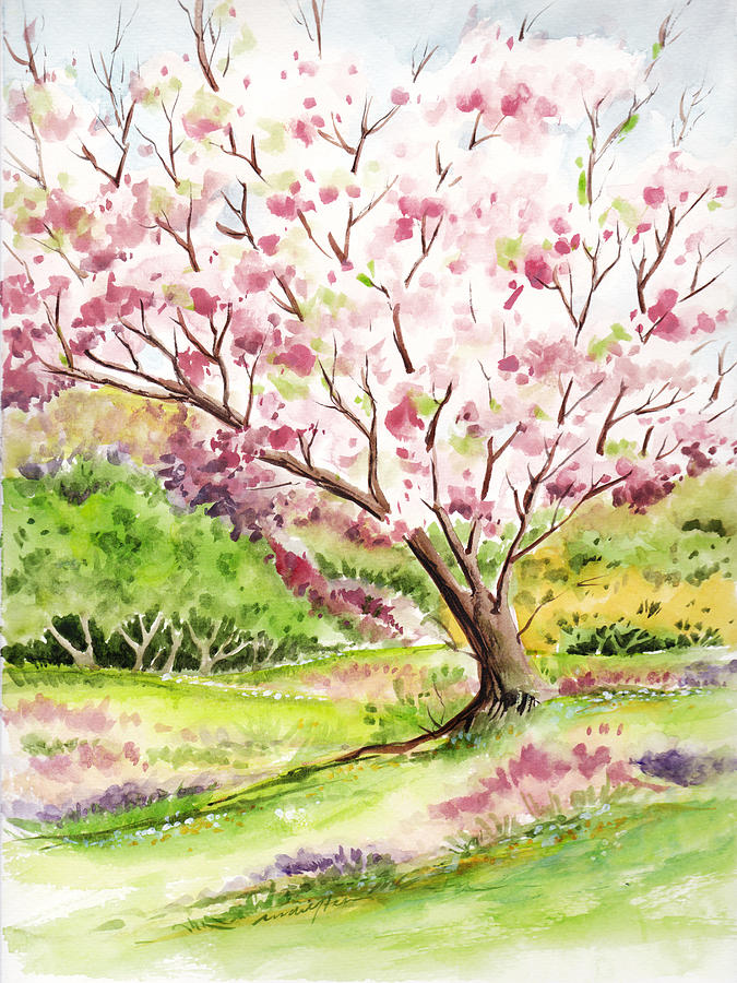 watercolor blossom tree