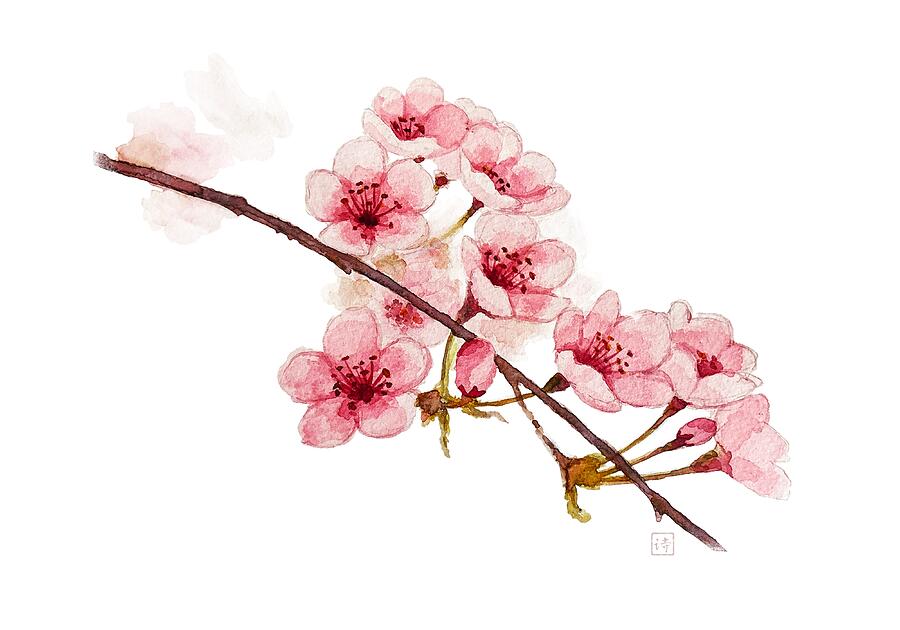 Cherry Blossoms Painting by Van Thi Diep Cherry Blossoms Painting by Van Thi Diep