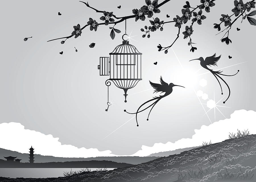 Cherry blossoms with birds and cage Drawing by Smt3