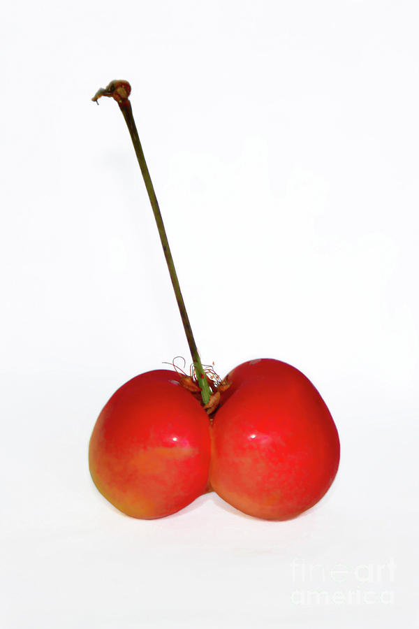 Cherry Cheeks Photograph by Olga Hamilton