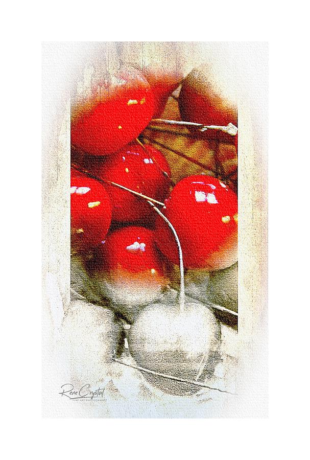 Cherry, Cherry Photograph by Rene Crystal