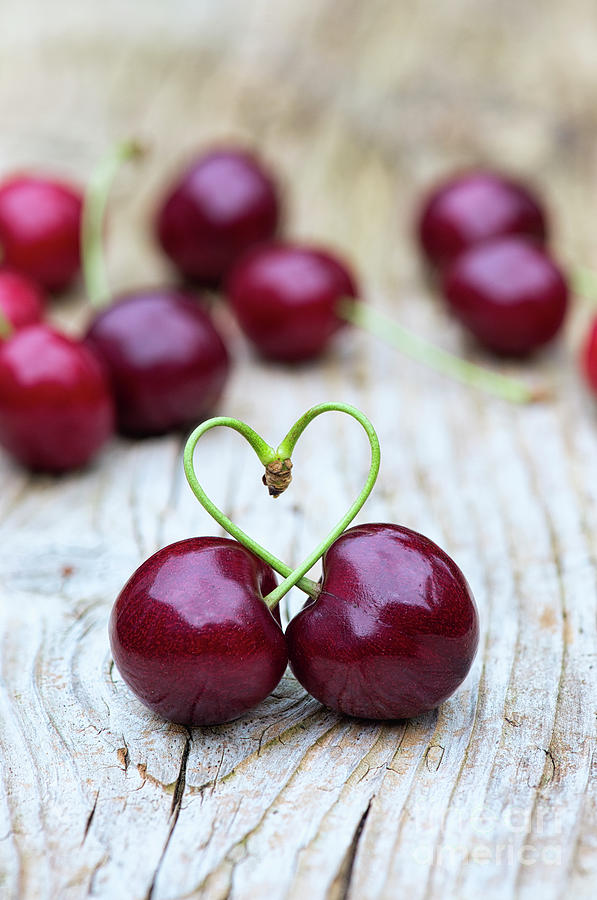 Cherry Heart Photograph by Tim Gainey