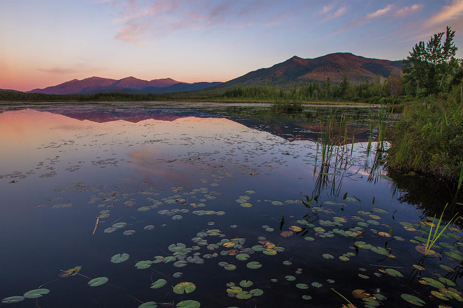 Cherry Pond Lily Pad Sunset Photograph by White Mountain Images