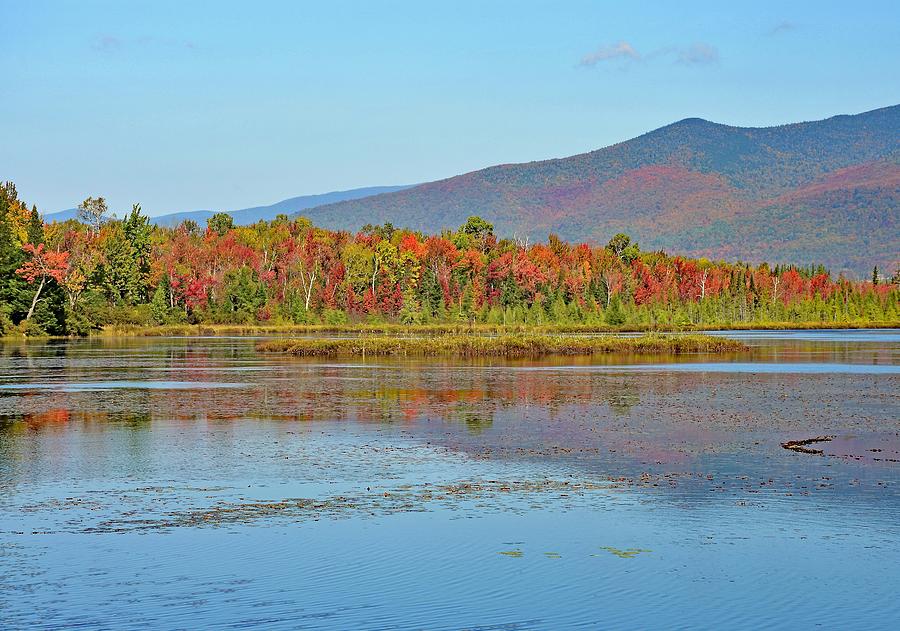 Cherry Pond Photograph by Monika Salvan