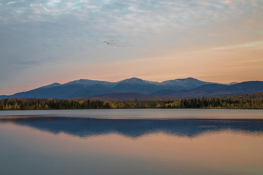 Cherry Pond Sunset Flight Photograph by White Mountain Images