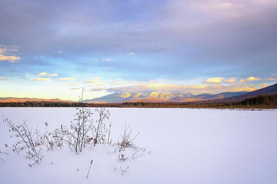Cherry Pond, Winter Photograph by Jeff Sinon