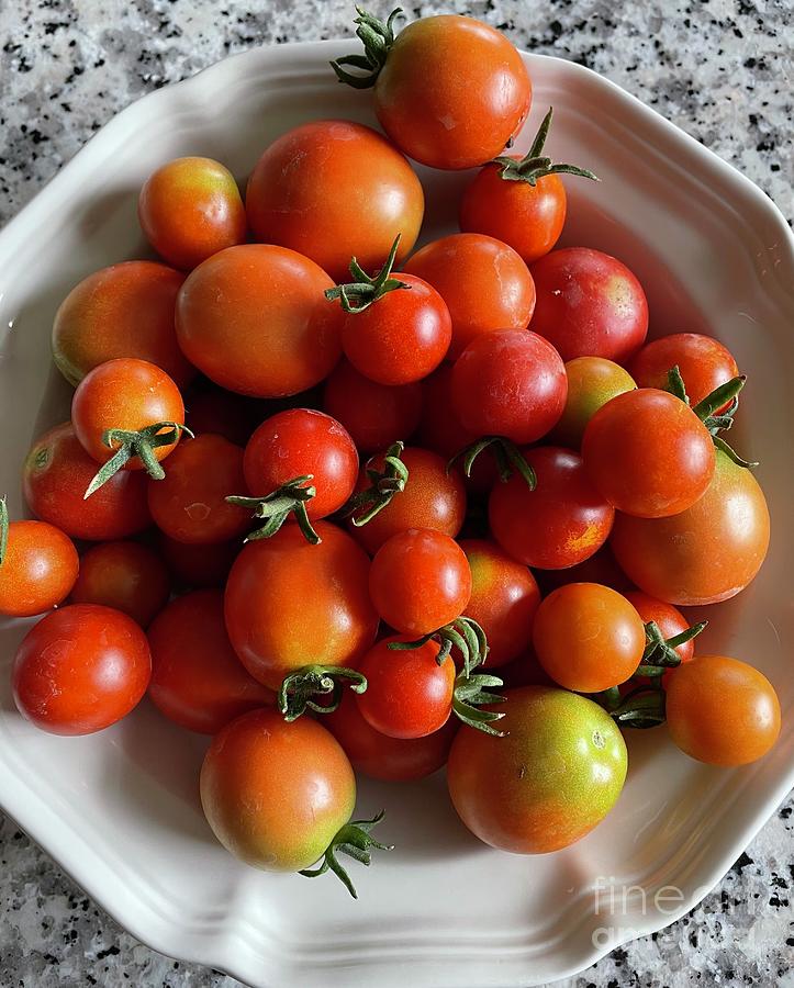 Cherry Tomatoes in White Bowl Photograph by Carol Groenen