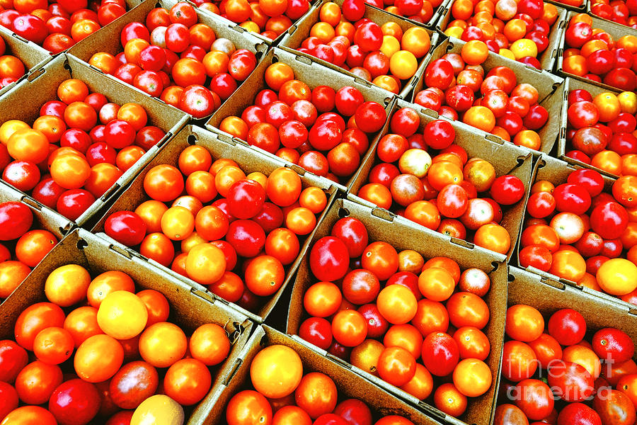 Tomato Photograph - Cherry Tomatoes by Olivier Le Queinec