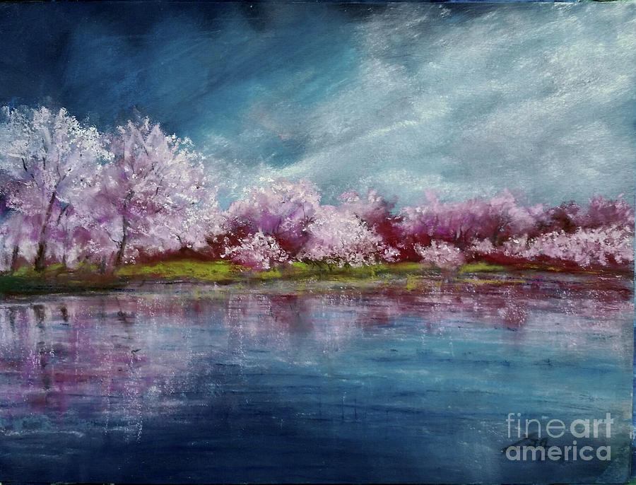 Spring Pastel - Cherry Tree Spring Reflection by Zan Savage