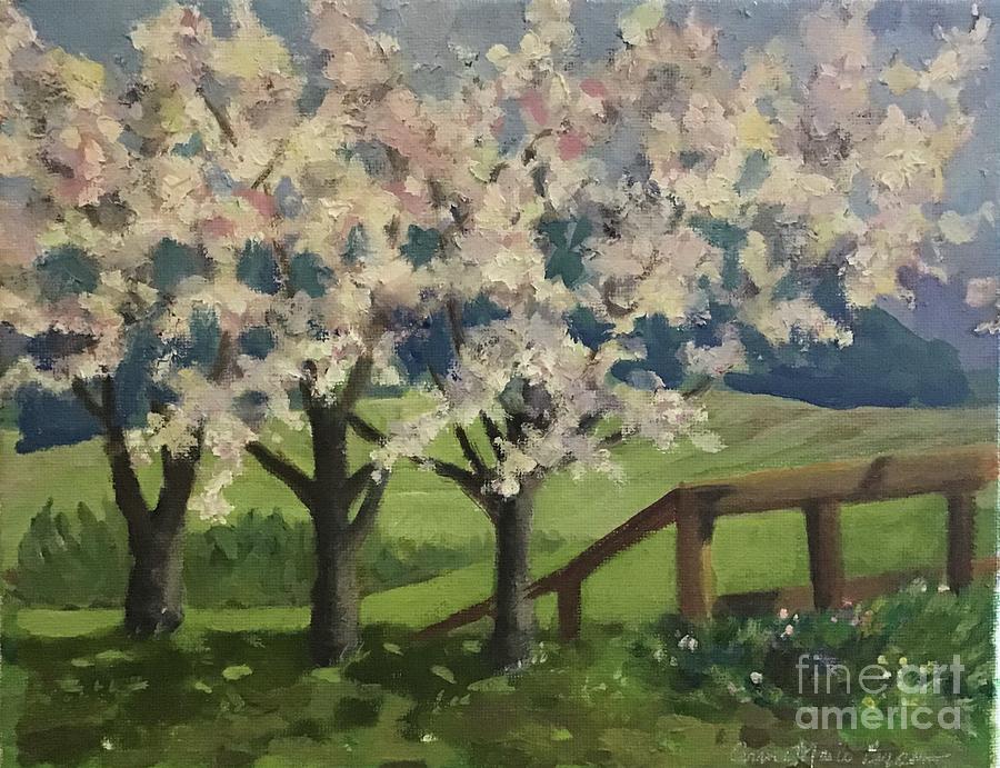 Cherry Trees Painting by Anne Marie Brown