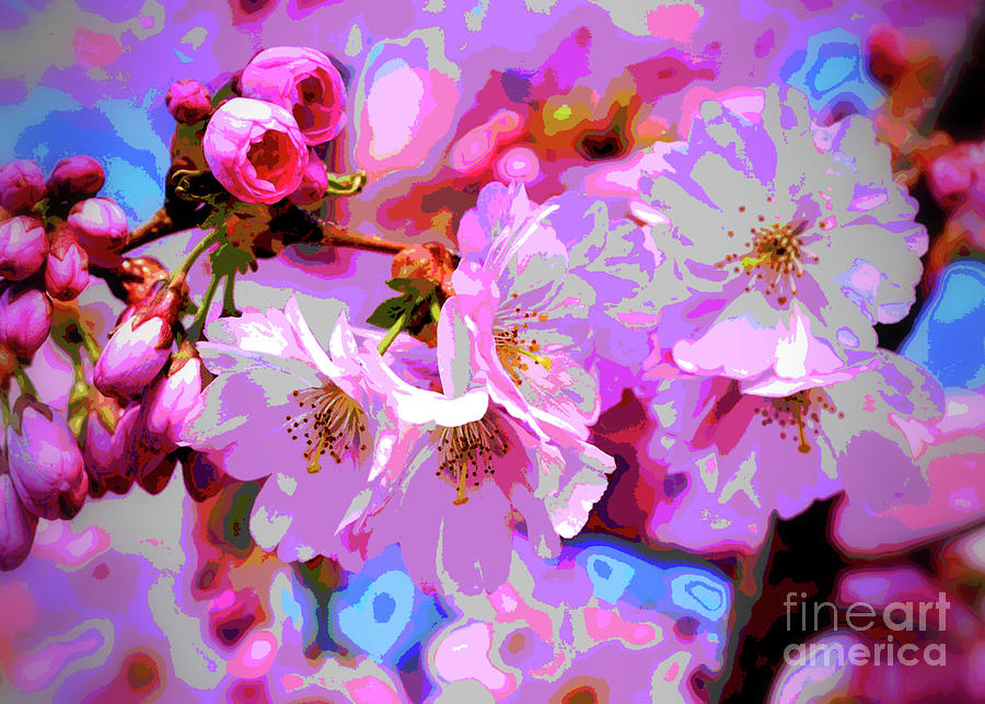 CherryBlossom Magic Digital Art by Mimulux Patricia No