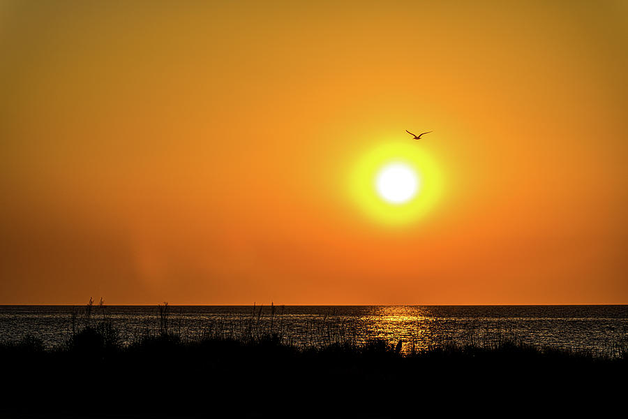 Chesapeak Bay Sunrise Photograph