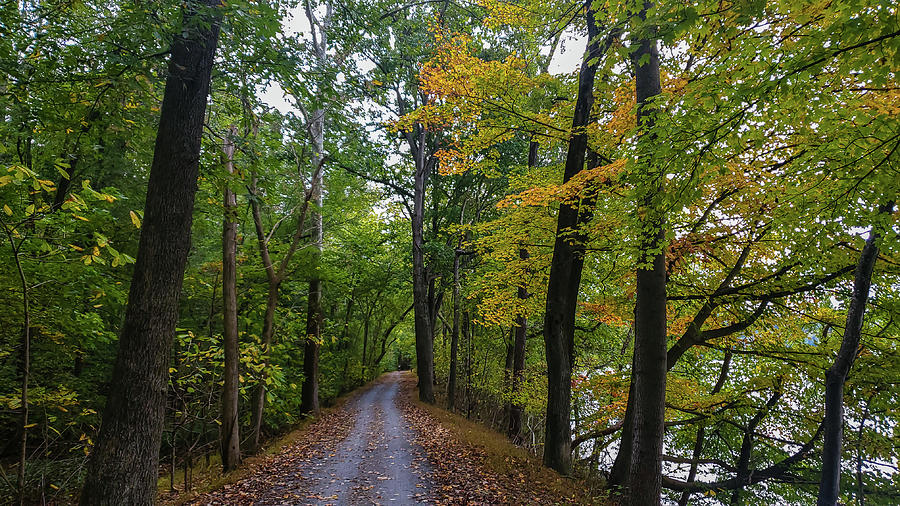 Chesapeake and Ohio Canal Towpath Photograph by Chris Spencer
