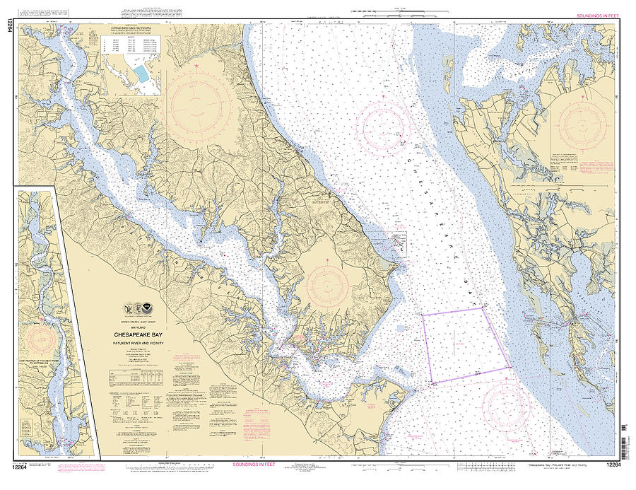 Chesapeake Bay Patuxent River and Vicinity, NOAA Chart 12264 Digital Art by Nautical Chartworks