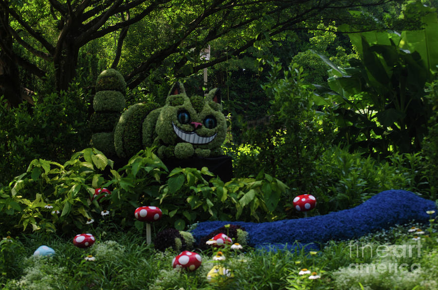 Cheshire Cat At The Atlanta Botanical Garden Photograph by Donna Brown