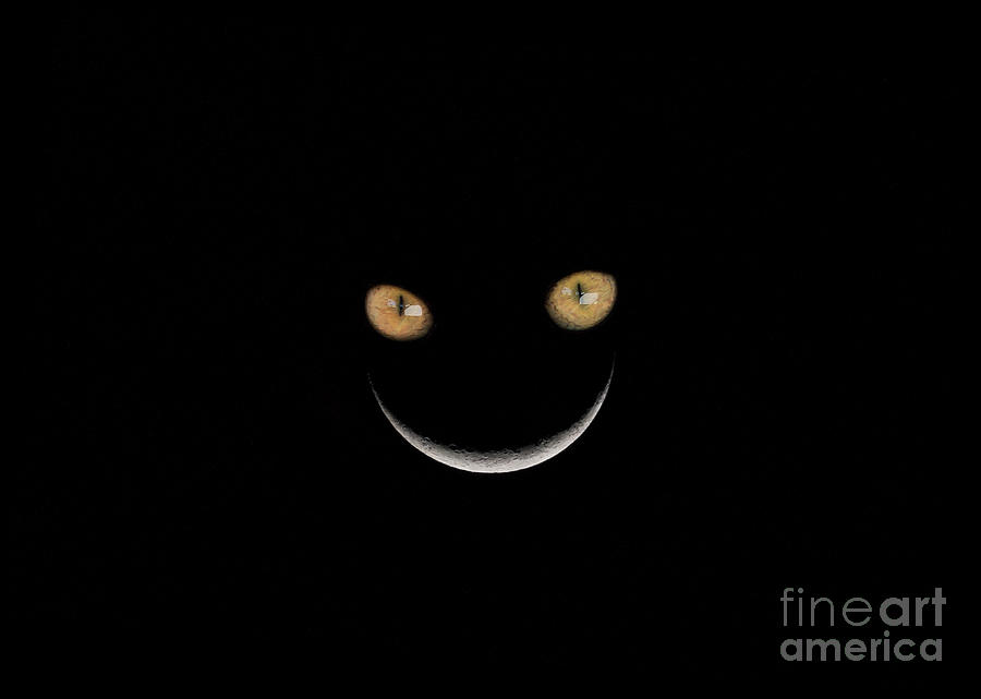 Cheshire Cat Crescent Moon Smile Green Photograph by Pablo Avanzini