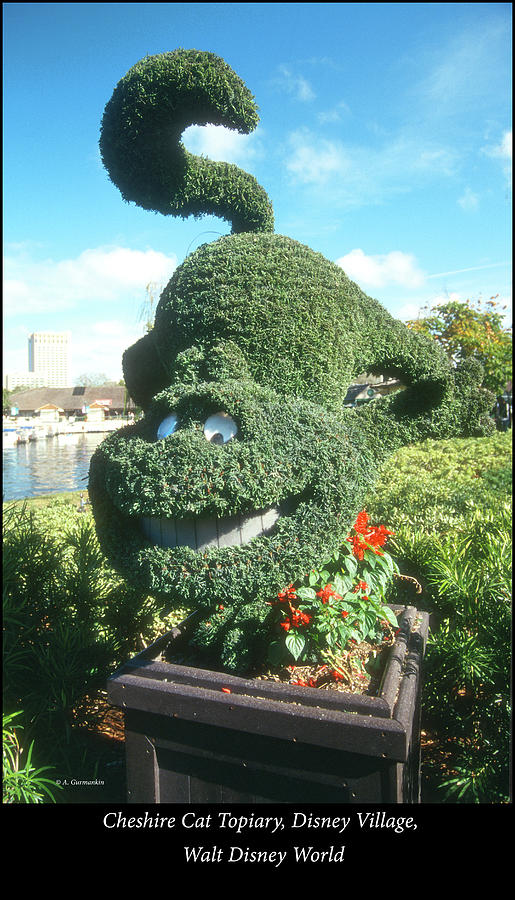Cheshire Cat Topiary, Disney Village, Walt Disney World, Orlando Photograph by A Macarthur Gurmankin