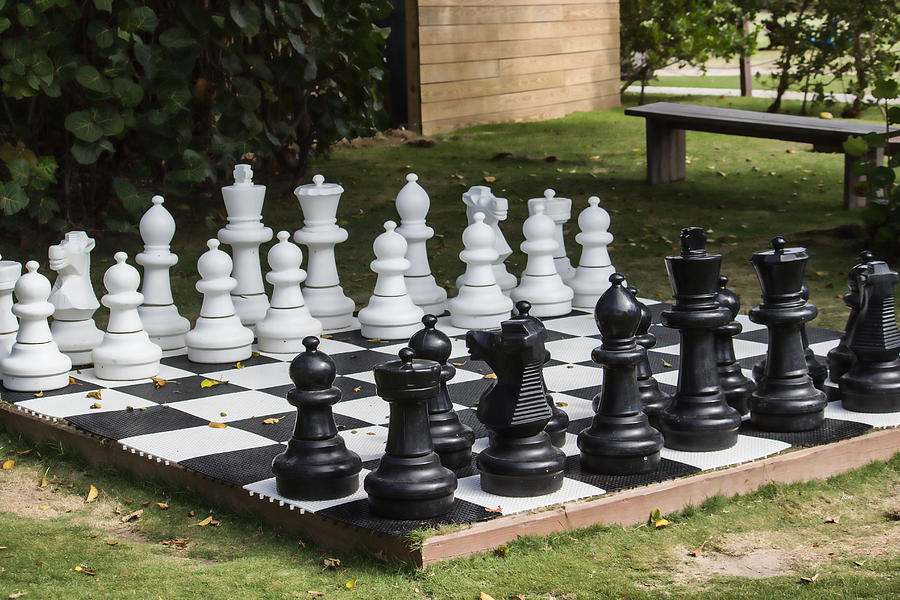 Chess Anyone Photograph by Roberta Byram
