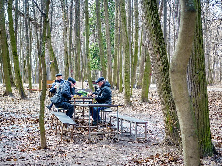 Chess in a park Photograph by Alexey Stiop