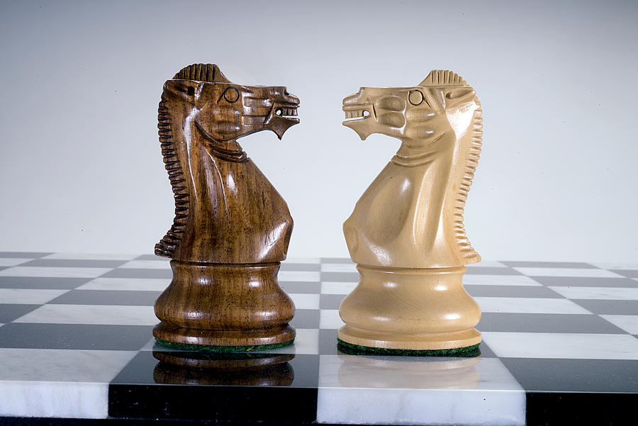 Chess Knights Face Off Photograph by ATU Images