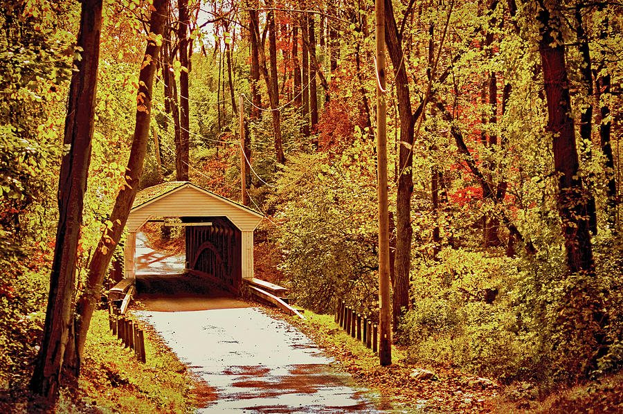 Architecture Photograph - Chester County Covered Bridge by Susan Maxwell Schmidt