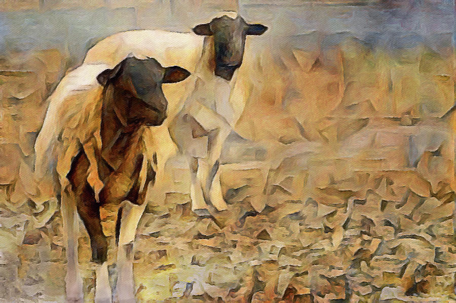 Chester County Goats Digital Art by Susan Maxwell Schmidt