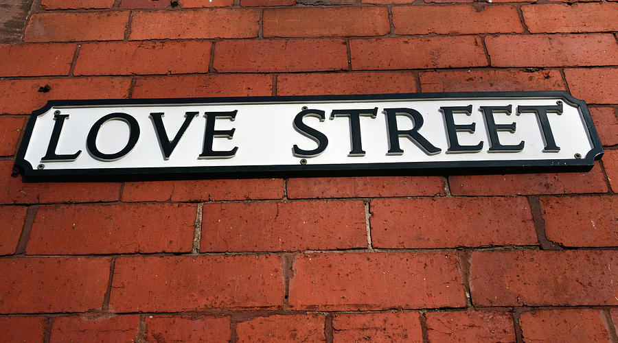 CHESTER.  Love Street. Photograph by Lachlan Main