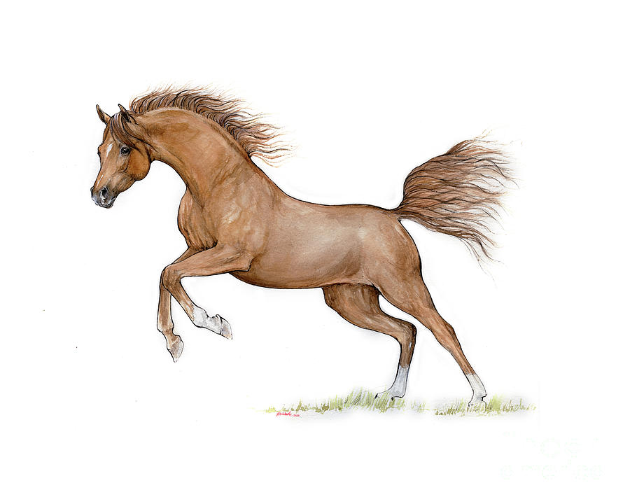 Horse Painting - Chestnut arabian horse 2022 04 13 by Ang El