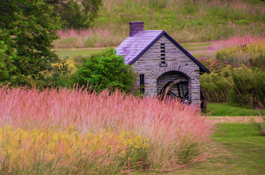 Chestnut Hill - The Morris Arboretum - Philadelphia Photograph by Bill Cannon