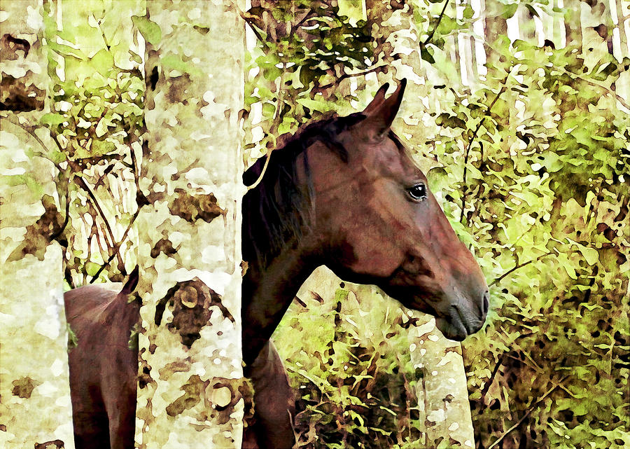 Chestnut Horse in Alder Tree Forest Photograph by Peggy Collins