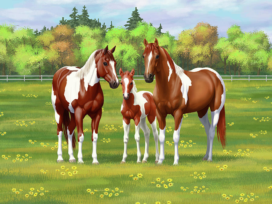 Chestnut Pinto Sorrel Paint Quarter Horses in Summer Pasture Painting by Crista Forest