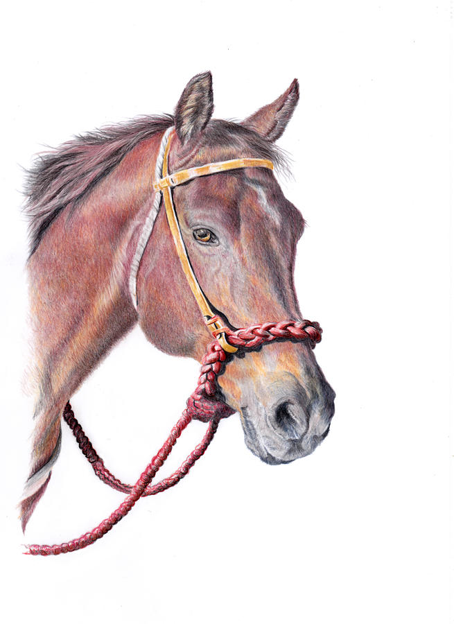 Chestnut Pony Painting by Debra Hall