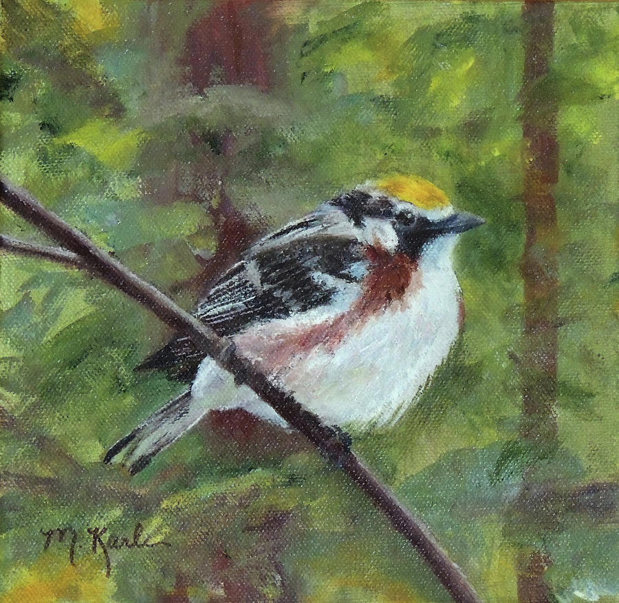 Chestnut-sided Warbler Painting by Marsha Karle