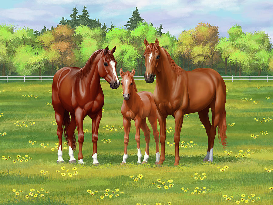 Chestnut Sorrel Quarter Horses in Summer Pasture Painting by Crista Forest