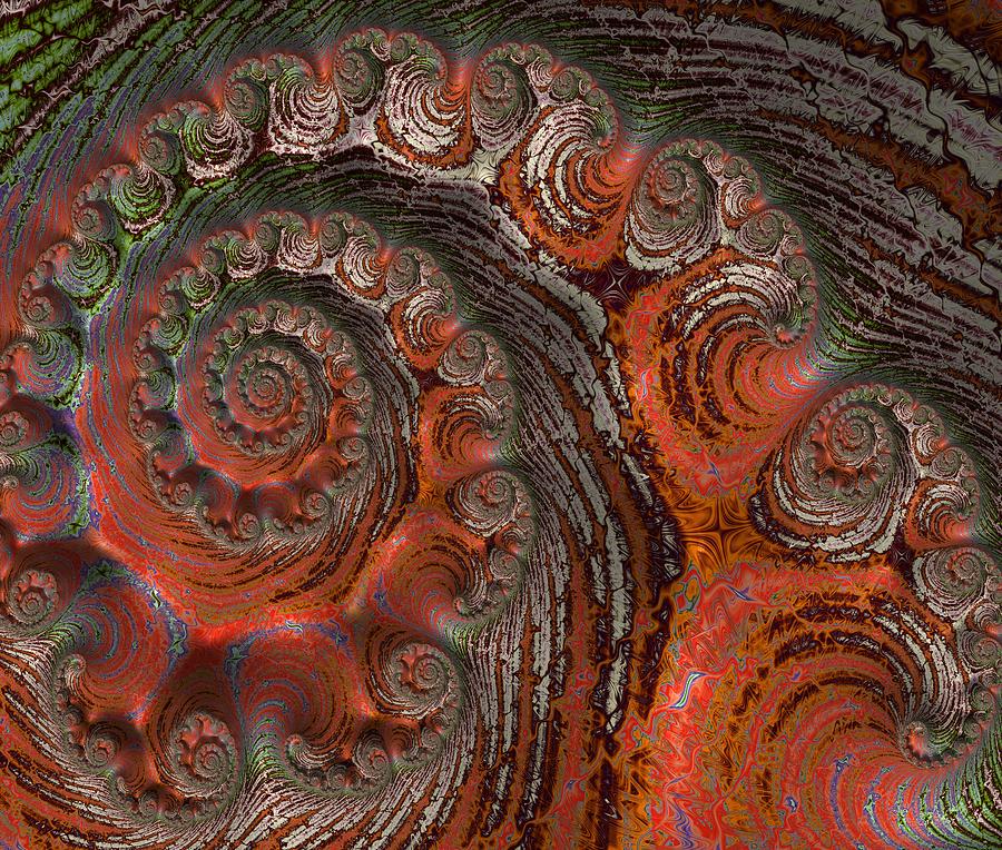 Chestnut Spiral Digital Art by Bonnie Bruno