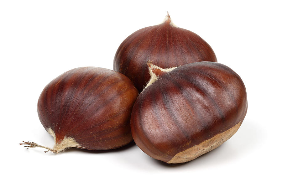 Chestnuts isolated on white background Photograph by MahirAtes