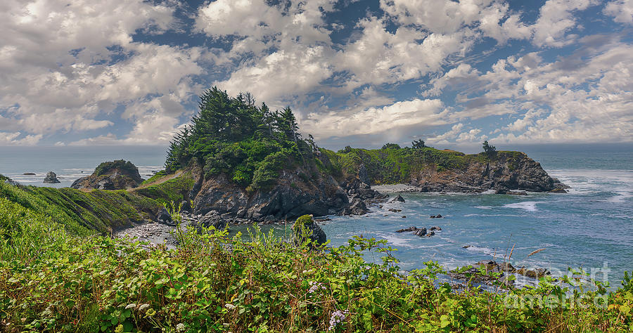 Chetco Point, Brookings, Oregon Photograph by Ron Long Ltd Photography