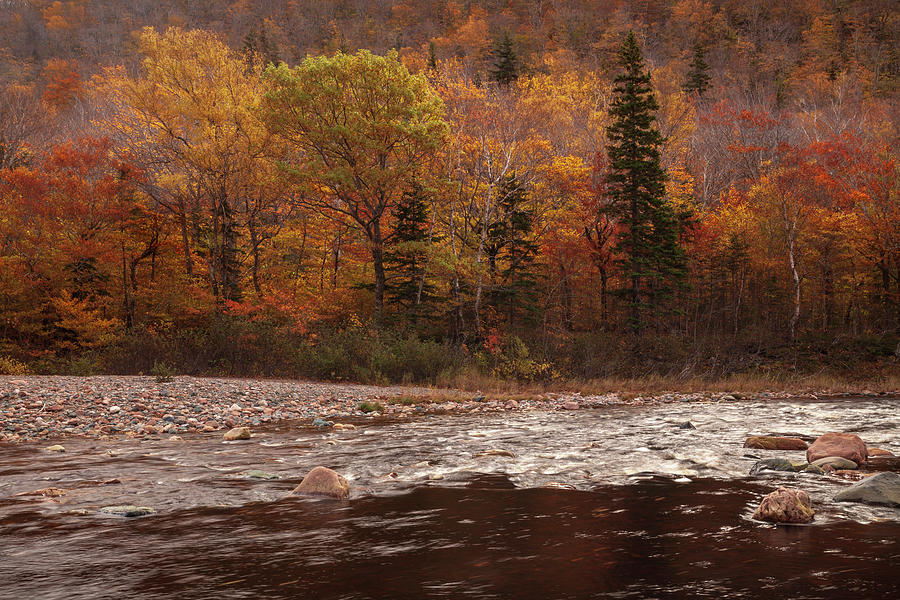 Cheticamp River in the Fall Photograph by Irwin Barrett