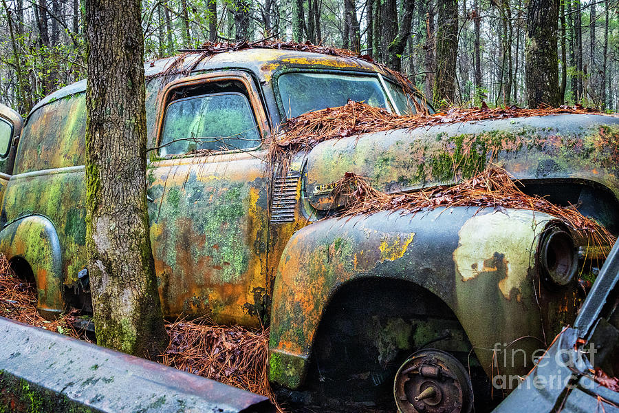 Chevy And The Amazing Technicolor Patina Photograph by Doug Sturgess
