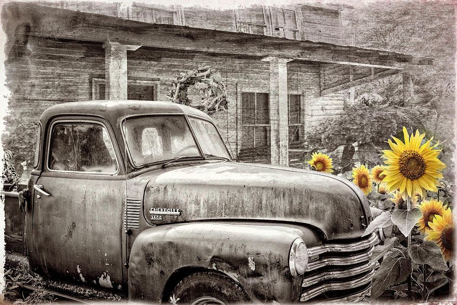 Chevy in the Garden Sepia Tones with Sunflowers Photograph by Debra and Dave Vanderlaan