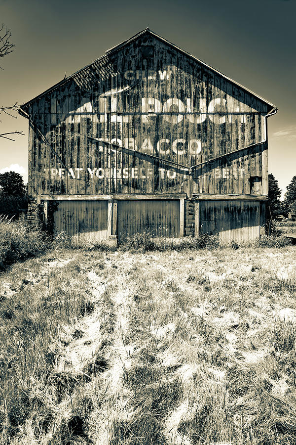 Black And White Photograph - Chew Mail Pouch Tobacco Barn - Vintage Ohio Sepia by Gregory Ballos