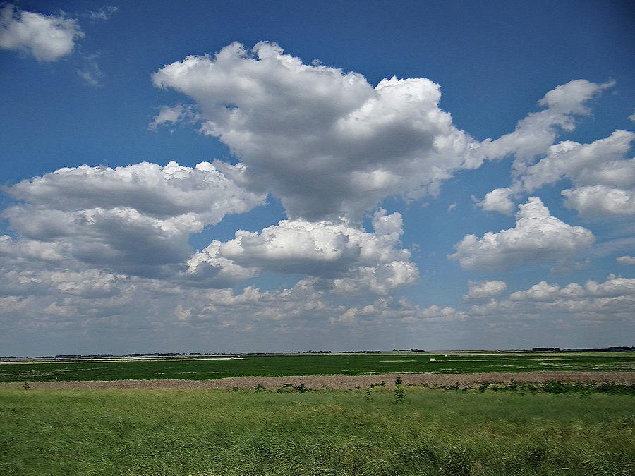 Cheyenne Bottoms Photograph by William Moore