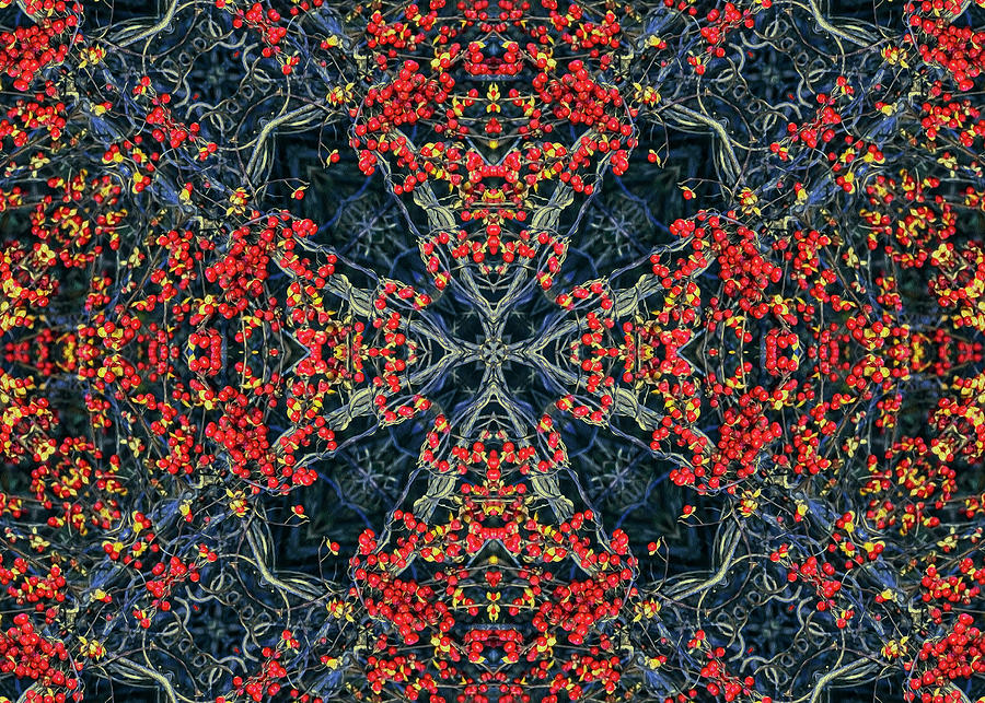 Chi Mandala--from Bittersweet Xs and Os Digital Art by Jennifer Nelson