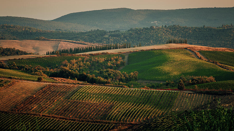 Chianti Hills, Sunset Photograph by Joseph Hawk - Fine Art America