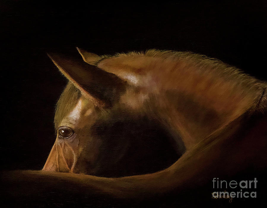 Chiaroscuro Horse Painting by Shirley Dutchkowski