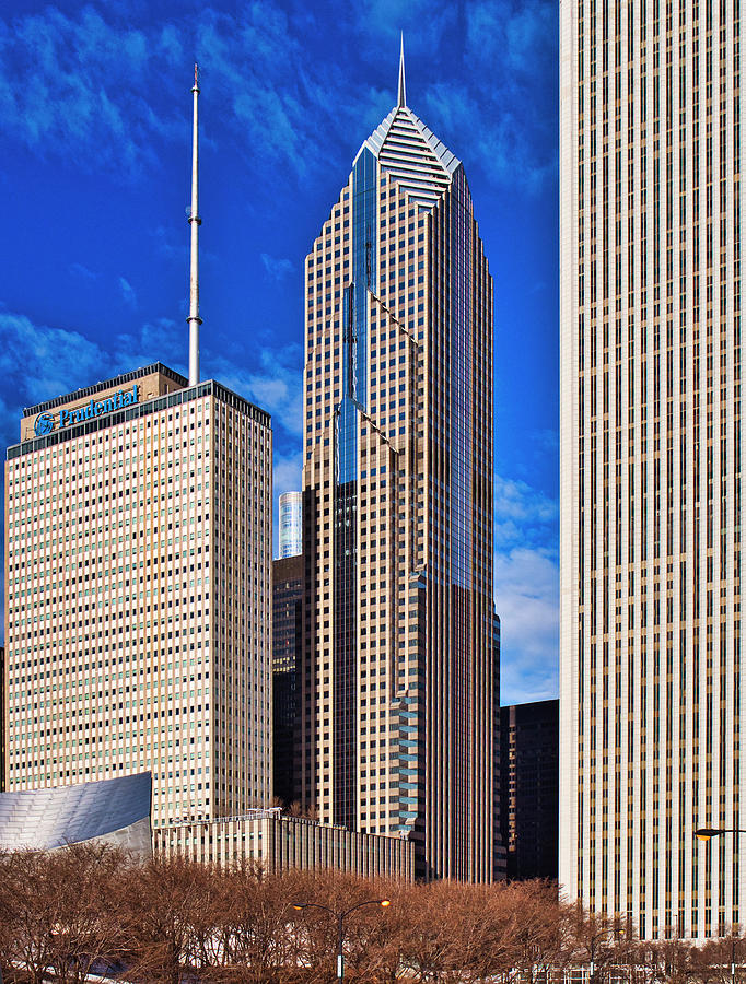 Chicago Buildings 1 Photograph by Steven Ralser
