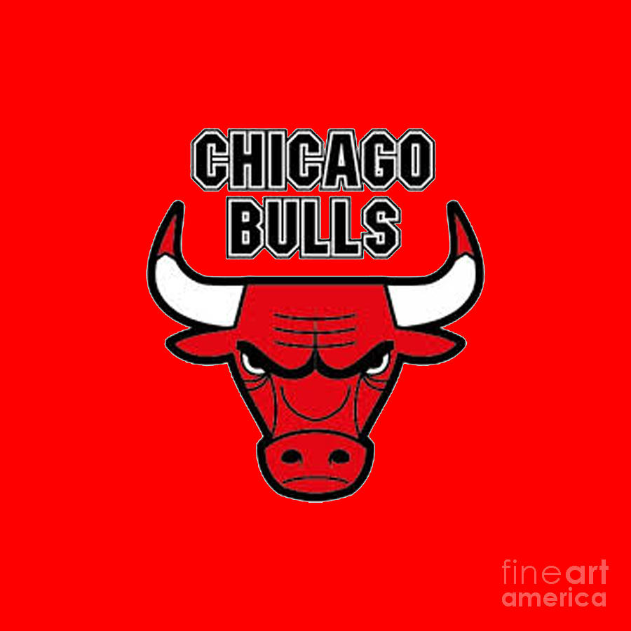 chicago bulls shop