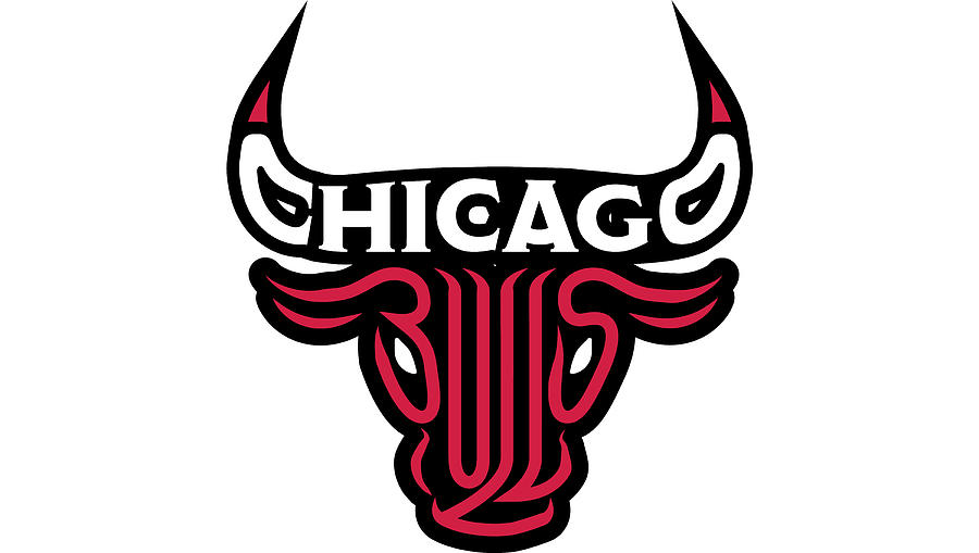 Chicago Bulls Fashion Colour Logo Hoodie - Womens