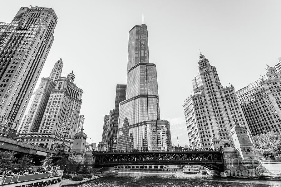 Chicago Cityscape Black and White Photo Photograph by Paul Velgos